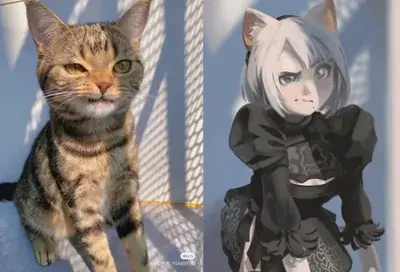 Two pictures of a cat and a cat in different poses